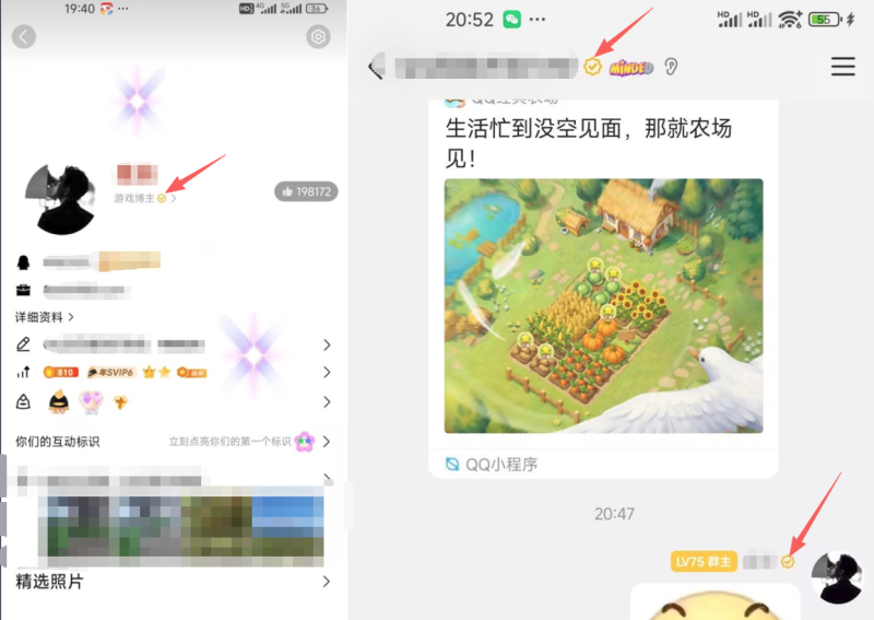 最新内测的QQ黄V认证教程,独家发放!!!-xdows资源站